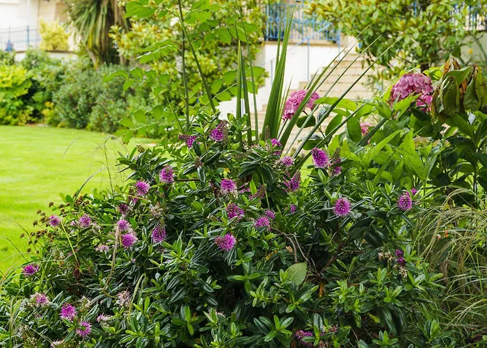 Family Hotel: Hotel De France (Adults Only)